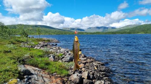 a fish on the shore of a body of water at Fjellyx i funäs med relax&bastu, badtunna, 13 bädd in Funäsdalen