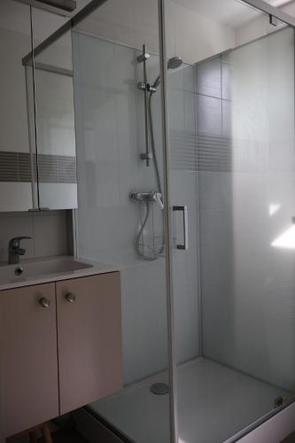 une douche avec une porte vitrée dans une salle de bain dans l'établissement Cosy Cocon - Appartement T2 - Sèvres, à Sèvres
