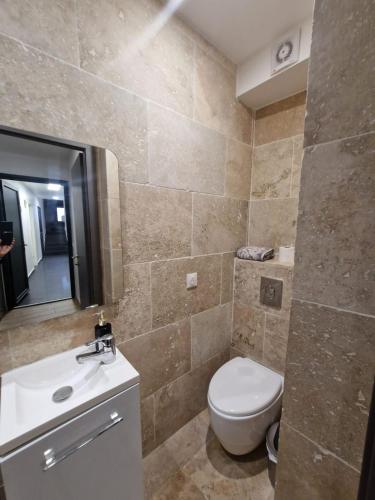 une salle de bain avec toilettes, lavabo et miroir dans l'établissement Studio en bord de mer avec jardin proche de Montpellier, à Villeneuve-lès-Maguelone