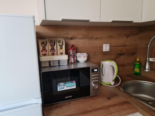 a microwave sitting on a counter in a kitchen at Apartman Naturalis flumen in Otočac