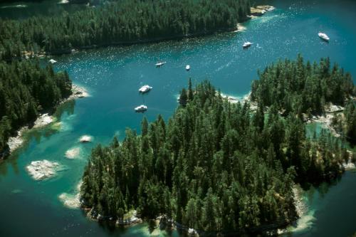 an island in the middle of a river with trees at Shannaghs Sweet Escape in Powell River