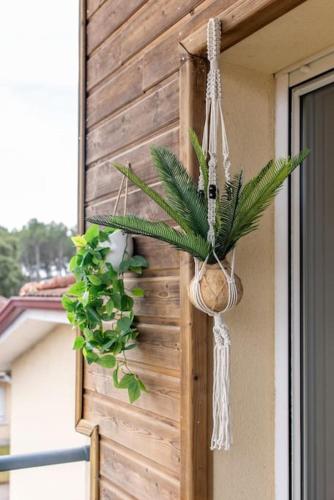 Φωτογραφία από το άλμπουμ του Appartement des grands lacs σε Sanguinet