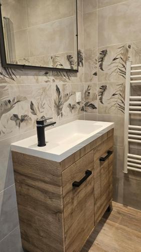 une salle de bain avec un lavabo et un miroir dans l'établissement Appartement souplex T3 coin nuit logement entier, à Argenteuil