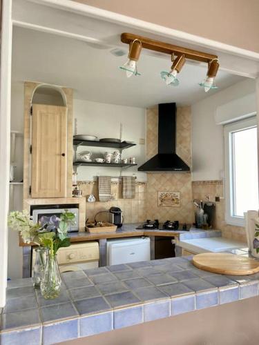 une cuisine avec un vase de fleurs sur un comptoir dans l'établissement Maisonette ESKIA, à Bry-sur-Marne