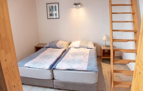 a bedroom with a bunk bed and a ladder at Panská in Chlum u Třeboně