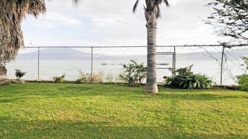 a palm tree in a yard with a fence at Villa Meli 2 in Jocotepec
