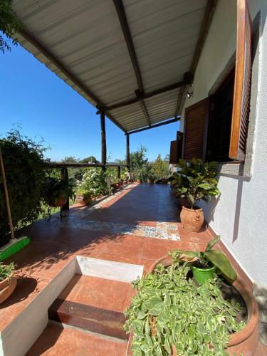 a patio with potted plants next to a building at Casa Cadillal in El Cadillal