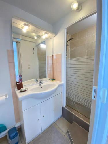 une salle de bain avec un lavabo et une douche dans l'établissement Studio ESKIA, à Bry-sur-Marne
