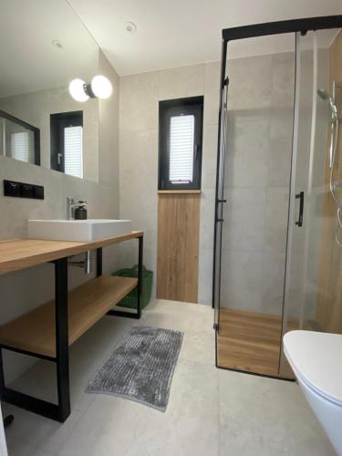 a bathroom with a sink and a shower at Sorella House in Sianozety