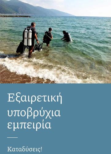 a group of people standing in the water at Hippocampus House in Stratónion