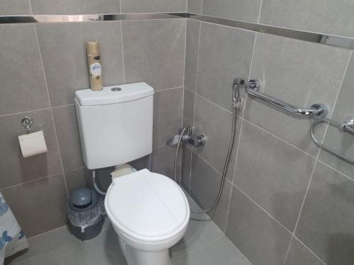 a bathroom with a toilet and a shower at Heart Depto 1 Viedma Centro Confortable y Optima Ubicación in Viedma