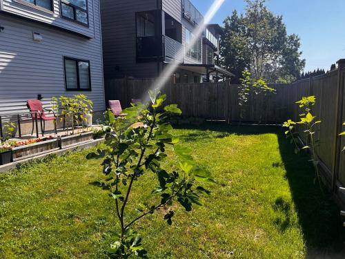 Κήπος έξω από το New, Spacious 2 Bedrooms in Downtown With Free Parking!