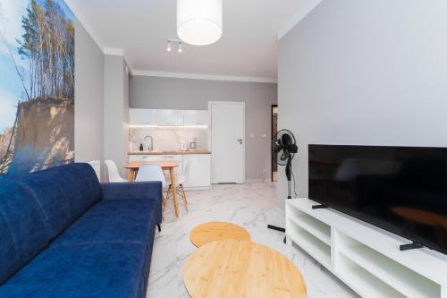 Μια τηλεόραση ή/και κέντρο ψυχαγωγίας στο Apartament Baltic Park IIIA z Basenem Letnim by HolidaySun