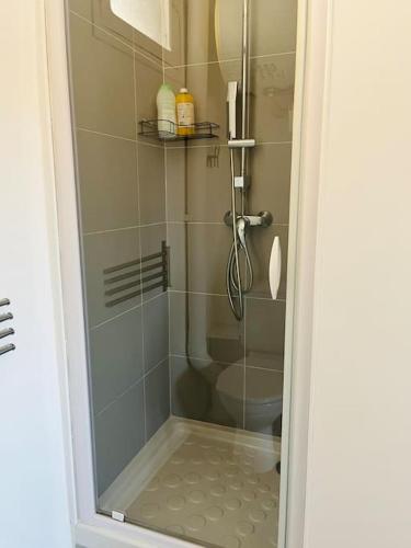 une porte de douche en verre d'une salle de bain avec toilettes dans l'établissement T2 au pied du Vieux port et vue Notre Dame, à Marseille