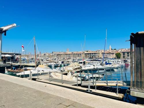 T2 au pied du Vieux port et vue Notre Dame