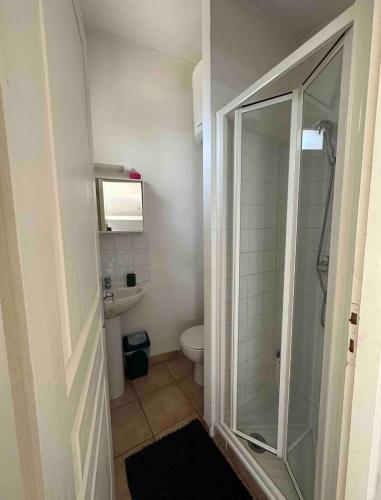 une salle de bain avec douche et toilettes dans l'établissement Face au canal du Midi, à Carcassonne