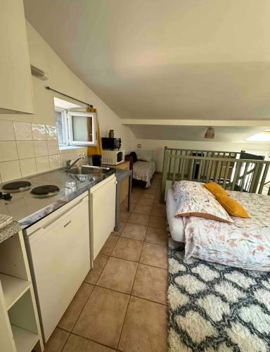 - une cuisine avec un lit et un évier dans la chambre dans l'établissement Face au canal du Midi, à Carcassonne