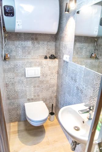 a bathroom with a toilet and a sink at Panská in Chlum u Třeboně