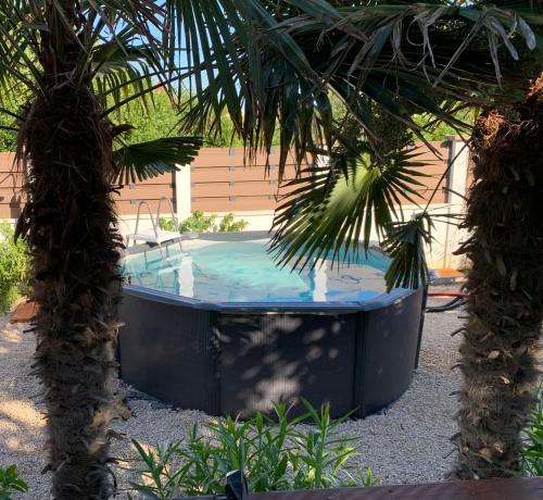 a hot tub in a garden with two palm trees at House between beaches in Vir