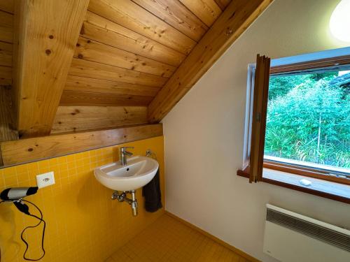 Koupelna v ubytování Rustici Maggia