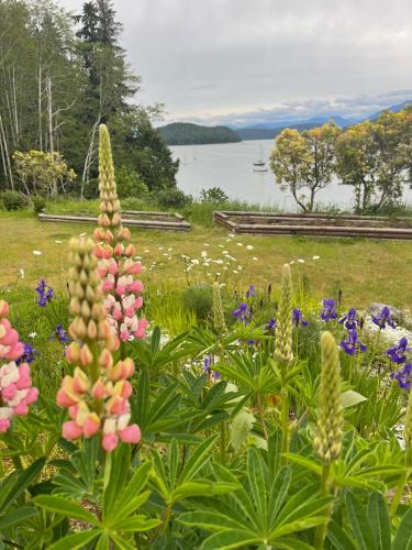 a garden with flowers and a lake in the background at Fishermans Folly in Lund