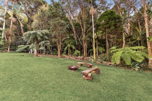 a garden with two logs and a bowl on the grass at The Bower at Purling Brook in Springbrook