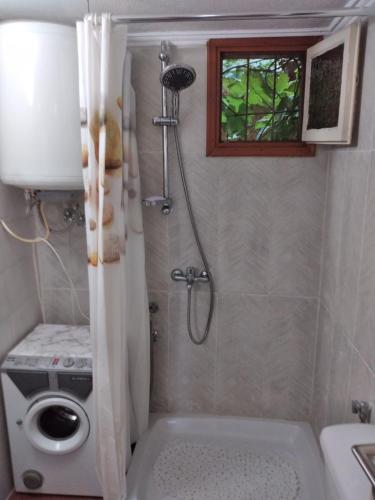 a bathroom with a shower and a toilet and a sink at Hippocampus House in Stratónion