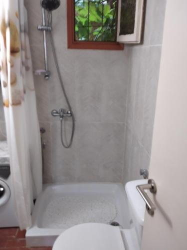 a bathroom with a shower and a toilet and a sink at Hippocampus House in Stratónion