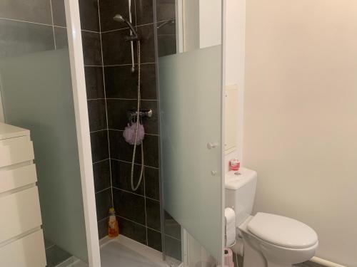 une petite salle de bain avec toilettes et douche dans l'établissement Appartement cosy à Alforville avec Parking, à Alfortville