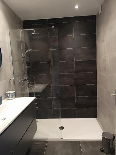 une salle de bain avec douche et lavabo dans l'établissement Magnifique 2 pièces vue mer, à Cannes