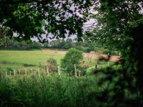 a field of grass with a fence and an elephant in the distance at Maison de campagne familiale aux Alpes mancelles - 3 chambres, cheminée et activités proches - FR-1-410-149 in Saint-Léonard-des-Bois