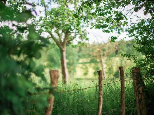 a fence in a field with grass and trees at Maison de campagne familiale aux Alpes mancelles - 3 chambres, cheminée et activités proches - FR-1-410-149 in Saint-Léonard-des-Bois