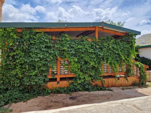 Apartments with a parking space Grebastica, Sibenik - 23339