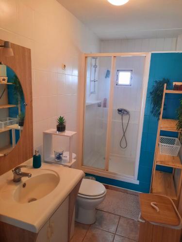 une salle de bain avec une douche, des toilettes et un lavabo dans l'établissement La Cornée Renard, à Saint-Dizier