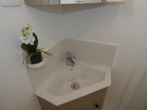 La salle de bains est pourvue d'un lavabo et d'une plante en pot. dans l'établissement Maison de vacances à Notre-Dame-de-Monts - 4 pers, proche forêt, terr., animaux OK - FR-1-540-281, à Notre-Dame-de-Monts