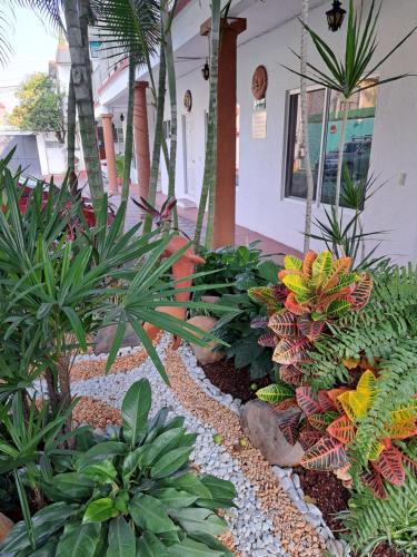 a garden with a bunch of plants and palm trees at Hotel Quinta Paraiso in Cocoyoc
