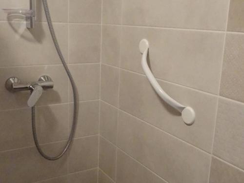 une douche avec pommeau de douche dans une salle de bain dans l'établissement Appartement rénové 2 pièces, 5 pers, WiFi, garage, navette, centre Les Gets - FR-1-802-18, aux Gets