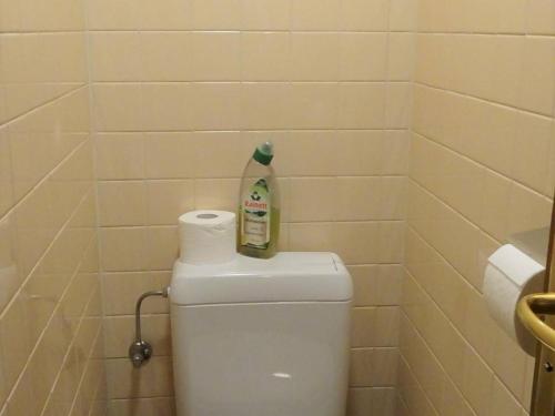 - une bouteille de savon au-dessus des toilettes dans la salle de bains dans l'établissement Appartement 2 pièces lumineux 4 pers, cœur des Gets, WiFi, draps et serviettes inclus, proche commodités - FR-1-802-16, aux Gets