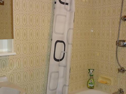 - un rideau de douche dans la salle de bains à côté d'un lavabo dans l'établissement Appartement T2 aux Gets, Centre-Ville, 4 Pers., WIFI, Draps/Serviettes Inclus, Proche Commerces et ESF - FR-1-802-14, aux Gets