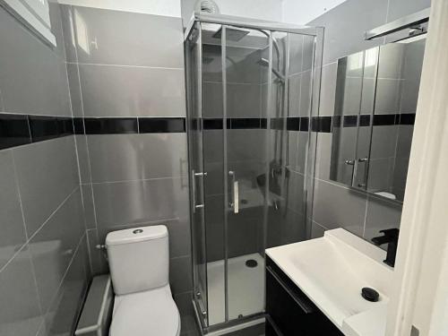 une salle de bain avec une douche, des toilettes et un lavabo dans l'établissement Appartement T2 climatisé à 200m plage, terrasse, parking, 4 couchages - La Grande-Motte - FR-1-250-291, à La Grande Motte