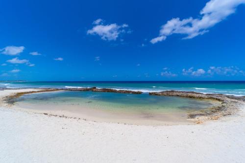a small pool of water on a beach at On The Bay in North Side