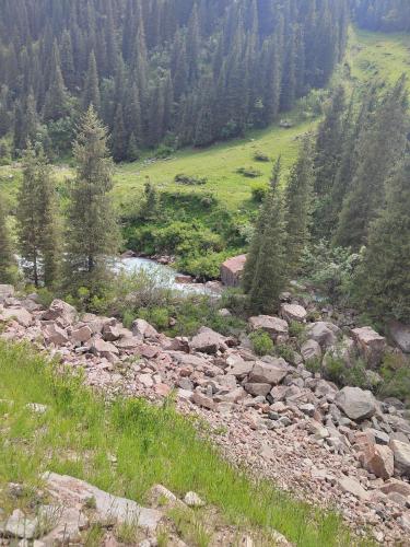 a stream of rocks and trees in a field at У Дяди Жени in Temirovka