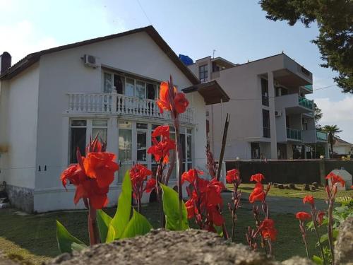 a white house with red flowers in the yard at Holiday Cottage in Ureki, Georgia in Ureki