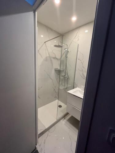 une salle de bain avec douche et lavabo dans l'établissement Charmant studio à 5 min de la mer, à Cagnes-sur-Mer