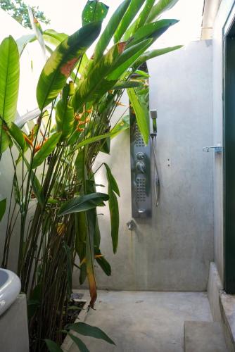 a bathroom with a shower with a bunch of plants at Villa Hillcrest in Weligama