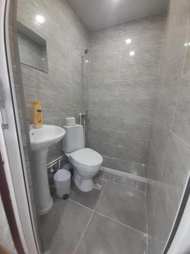 a bathroom with a toilet and a shower and a sink at HOTEL LukaRabati in Akhaltsikhe