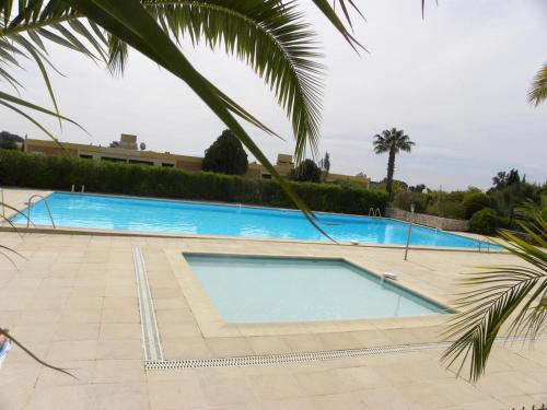une grande piscine avec un palmier dans l'établissement Studio de vacances bandol 4 places, à Bandol