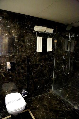 a black tiled bathroom with a toilet and a shower at Hotel Trinity Grand, Raigarh in Raigarh