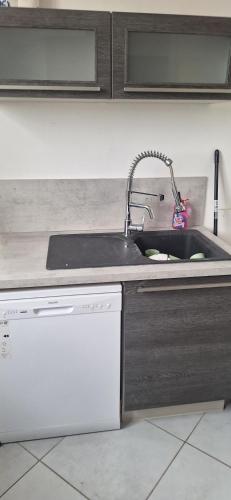 Il comprend une cuisine équipée d'un évier et d'un lave-vaisselle. dans l'établissement Appartement 3 chambres 6 personnes - Madeleine Tram B Dunoise, à Saint-Jean-de-la-Ruelle