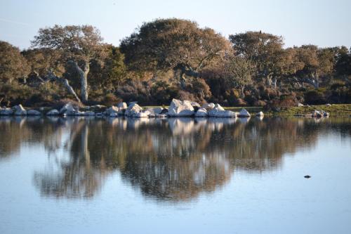 a lake with rocks in the middle of the water at Bissantica, heritage and charm in rural Sardinia in Lunamatrona